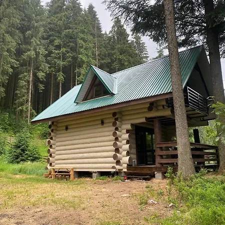 подих лісу 2 Synevyrsʼka Polyana