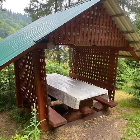 подих лісу 2 別荘 *