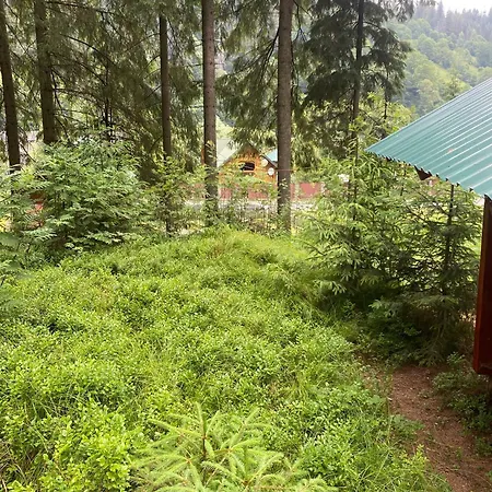 別荘 подих лісу 2