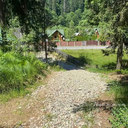 別荘 подих лісу 2